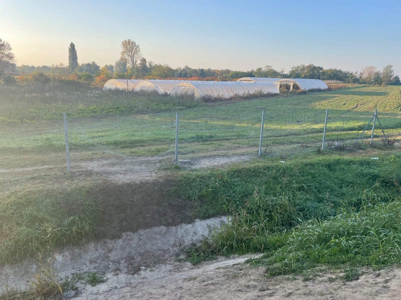 Мигранти код Хоргоша направили хаос претрчавајући аутопут, фото: РИНА