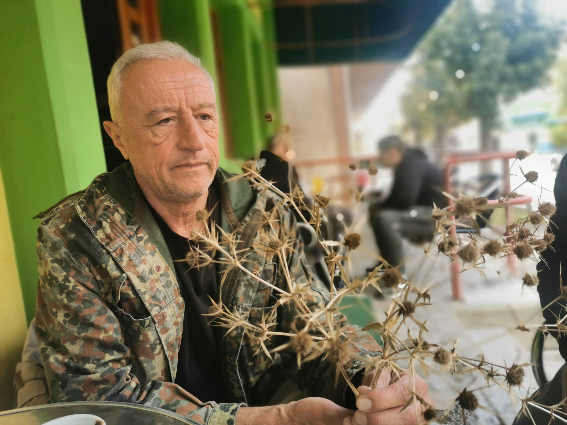 Чудотворни противотров за гљиве отровнице и лек за многе болести: Милан на побрђима Косјерића пронашао биљку у народу познату као Гујина трава, она диже из мртвих/ Фото: РИНА