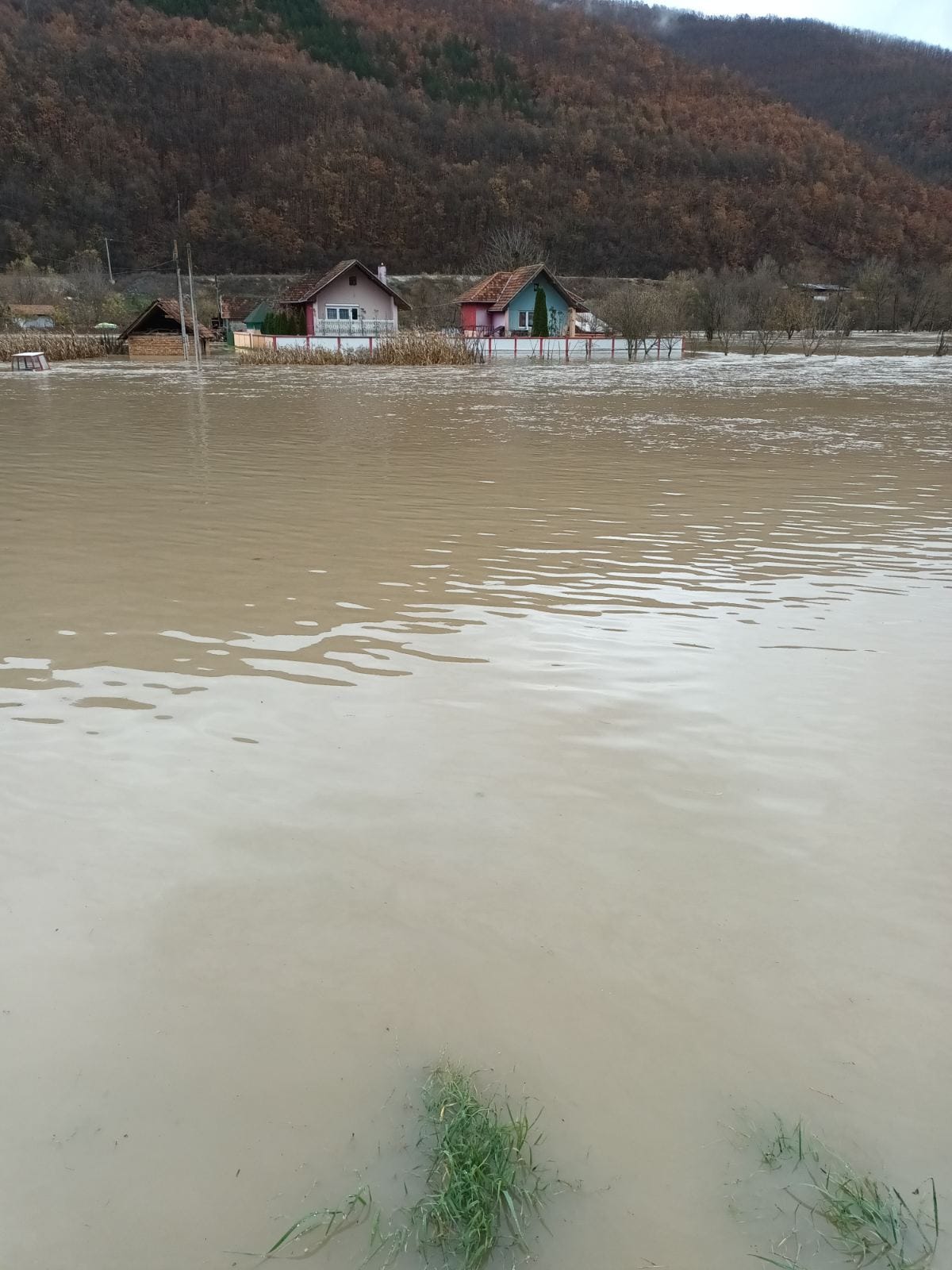 Ока нисмо склопили, гледали смо Сеад из Пријепоља једва спасио петочлану породицу и пса од набујалог Лима, фото: Уступљене фотографије