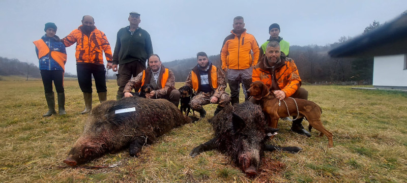 Један 150 а други око 100 килограма, уливали страх мештанима: Грдосије се нашле на нишану храбрих ловаца, два вепра самца одстрељена на Сувобору (ФОТО)