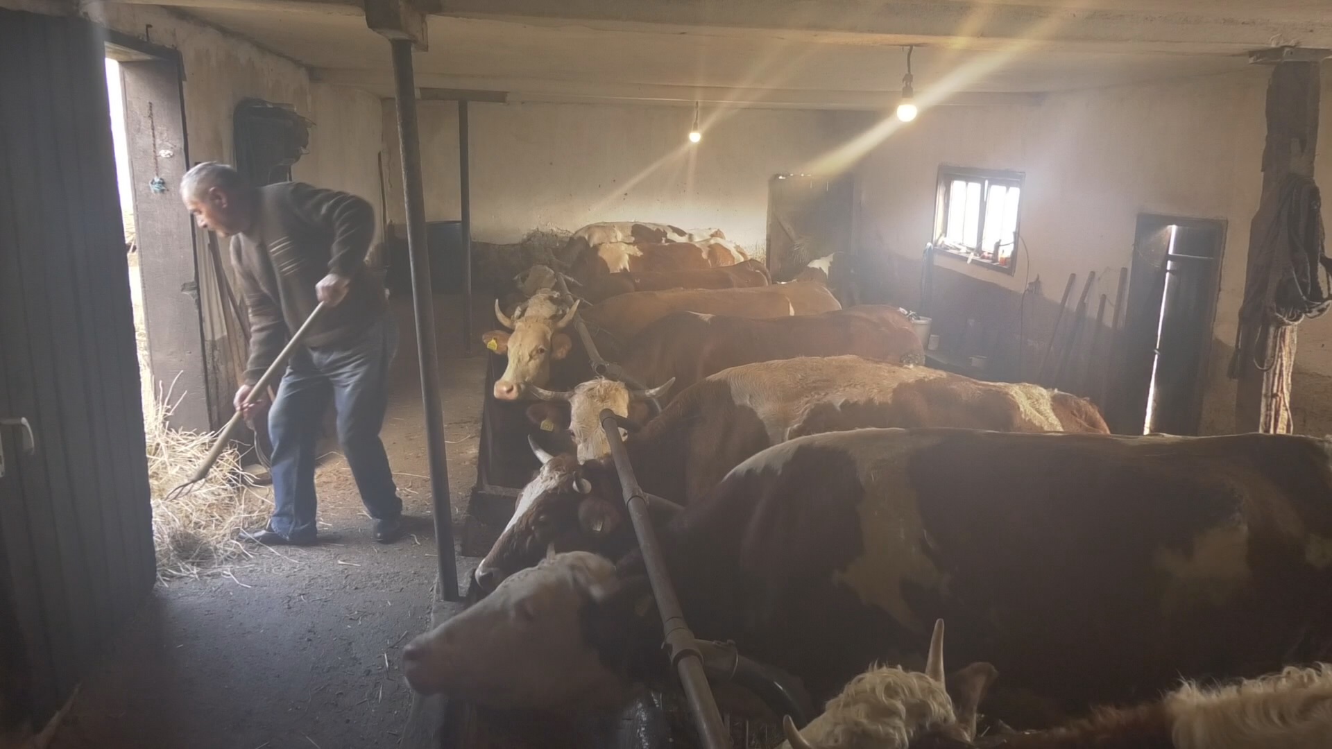На кућном прагу појавили су се инспектори, али већ је било касно: Лопови ојадили Милољуба из Горњег Милановца, на његово име узели преко три милиона/ Фото: РИНА