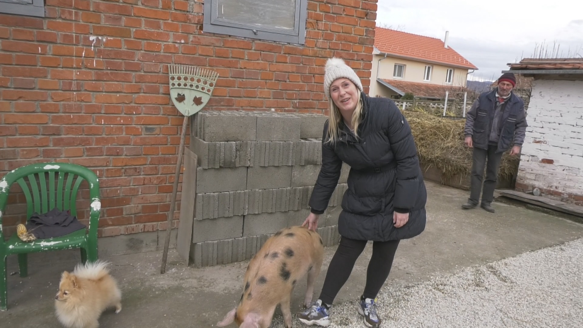 Viktorija je bila veličine pesnice i na ivici smrti, ali uz mnogo ljubavi i pažnje postala je kućni ljubimac: Sada umesto sa svinjama druži se sa psima i ljudima/ foto: RINA