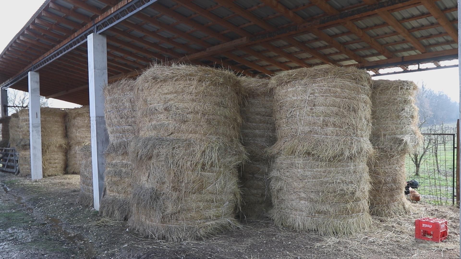 Neverovatna odluka Milana iz Lazarevca, decenijama radio na zapadu i sada želi sve što ima da prepiše poštenim i vrednim ljudima/ Foto: RINA
