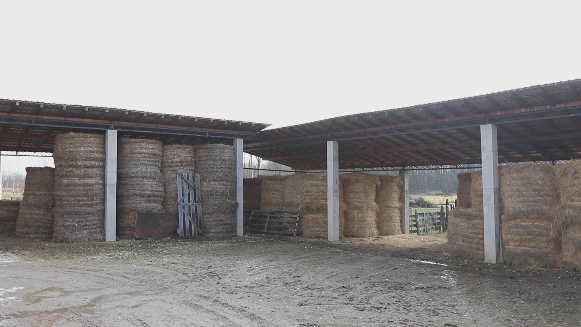 Poklanjam dve kuce, restoran i imanje: Neverovatna odluka Milana iz Lazarevca, decenijama radio na zapadu i sada želi sve što ima da prepiše poštenim i vrednim ljudima, uslov je samo jedan (FOTO)(VIDEO)