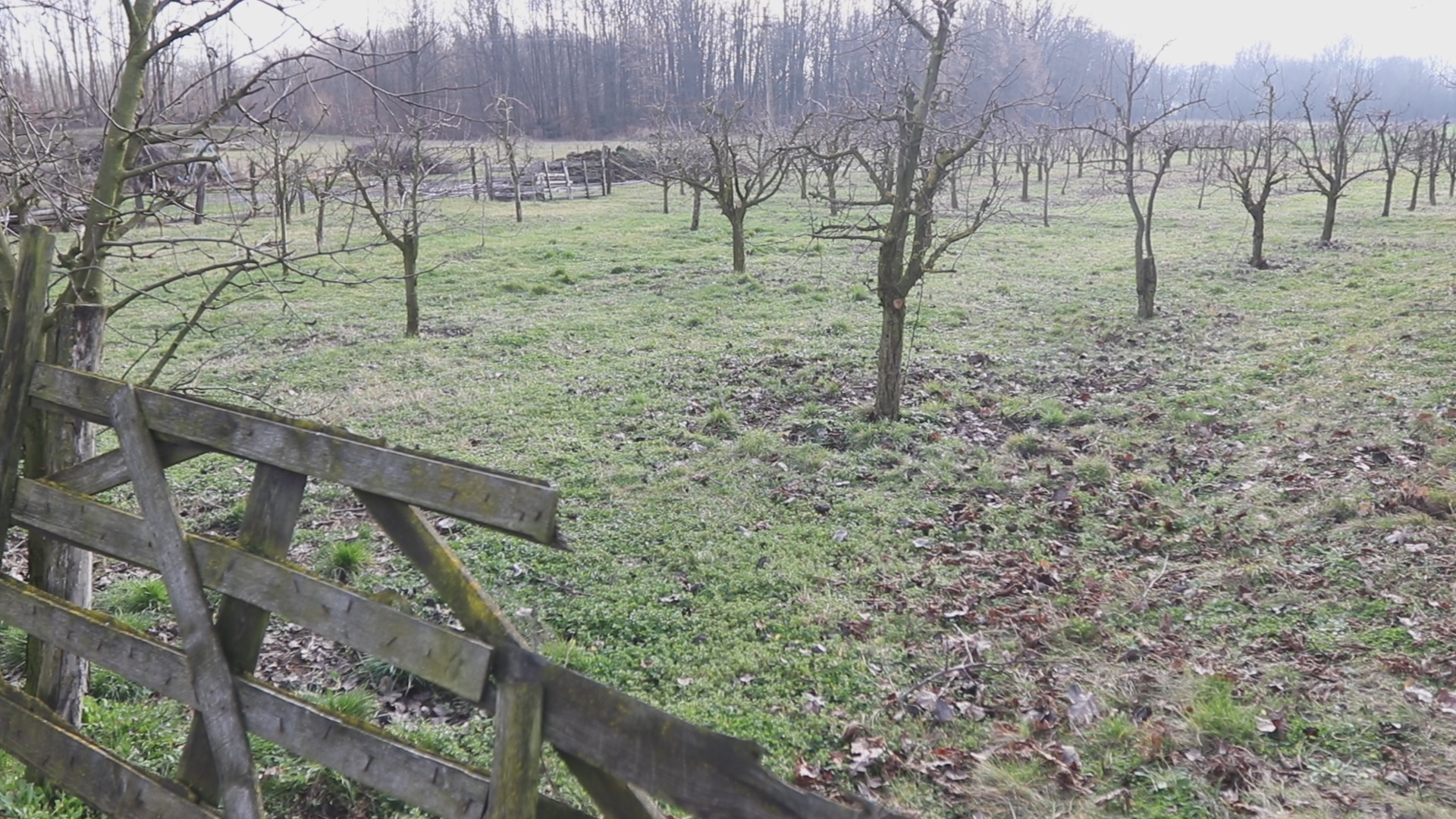 Neverovatna odluka Milana iz Lazarevca, decenijama radio na zapadu i sada želi sve što ima da prepiše poštenim i vrednim ljudima/ Foto: RINA