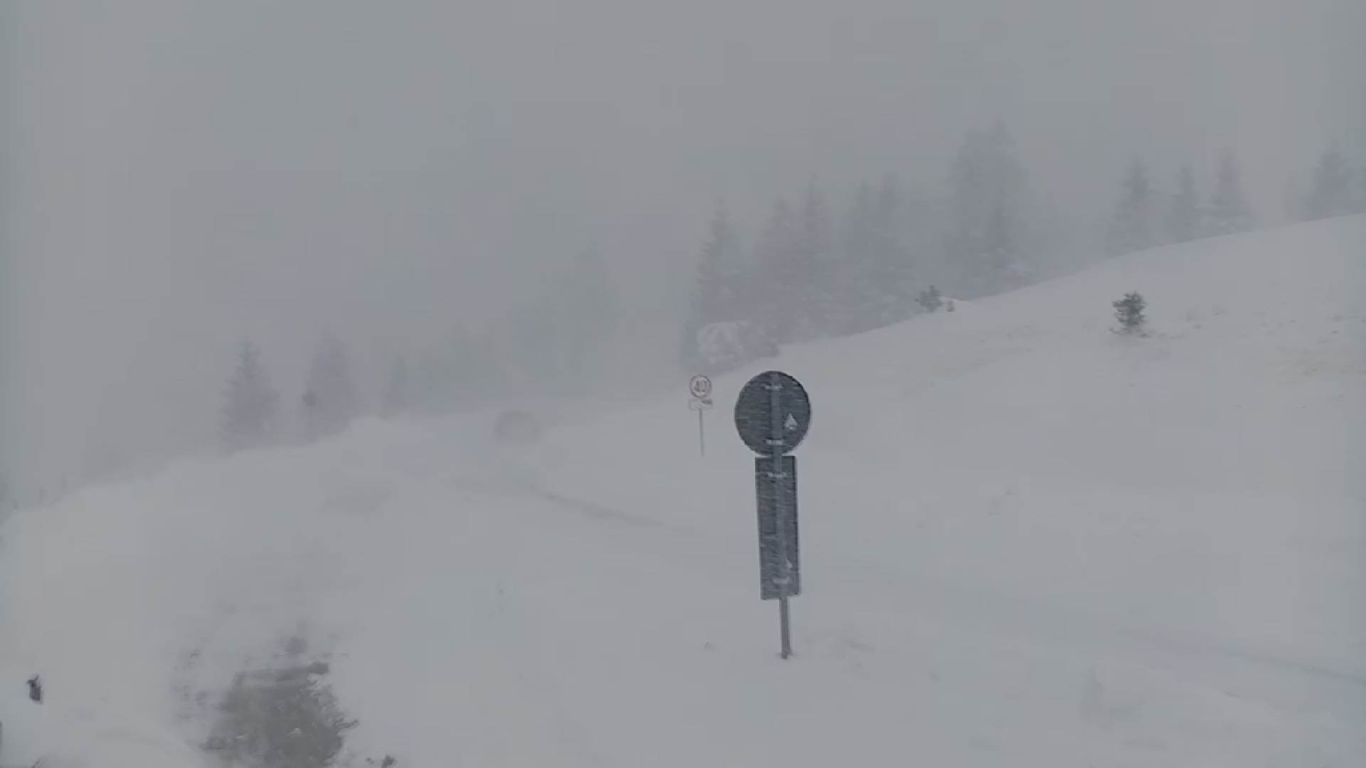 Drama i haos na Goliji: Skijaši ostali zavejani i ne mogu da pokrenu automobile, teške mašine pokušavaju da se probiju do njih/ Foto: RINA