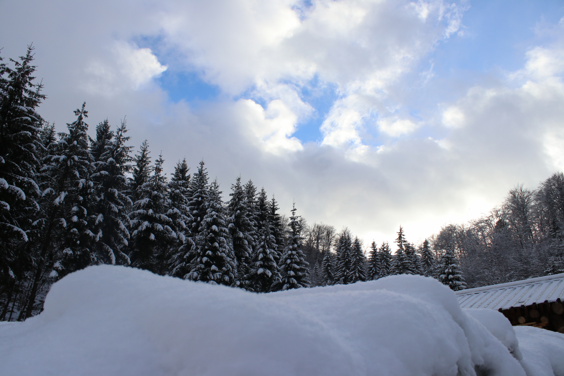 : Ivanjica i Dragačevo pod snegom, struja konačno stigla u domove / foto: RINA