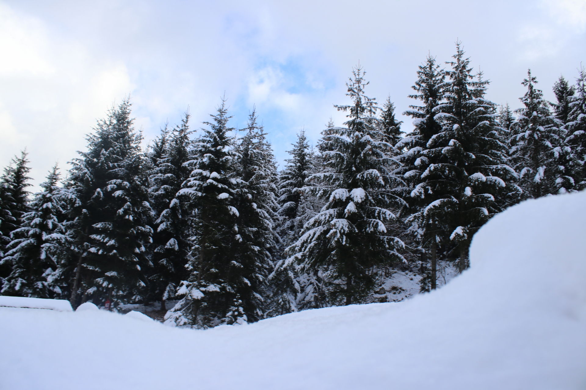 : Ivanjica i Dragačevo pod snegom, struja konačno stigla u domove / foto: RINA