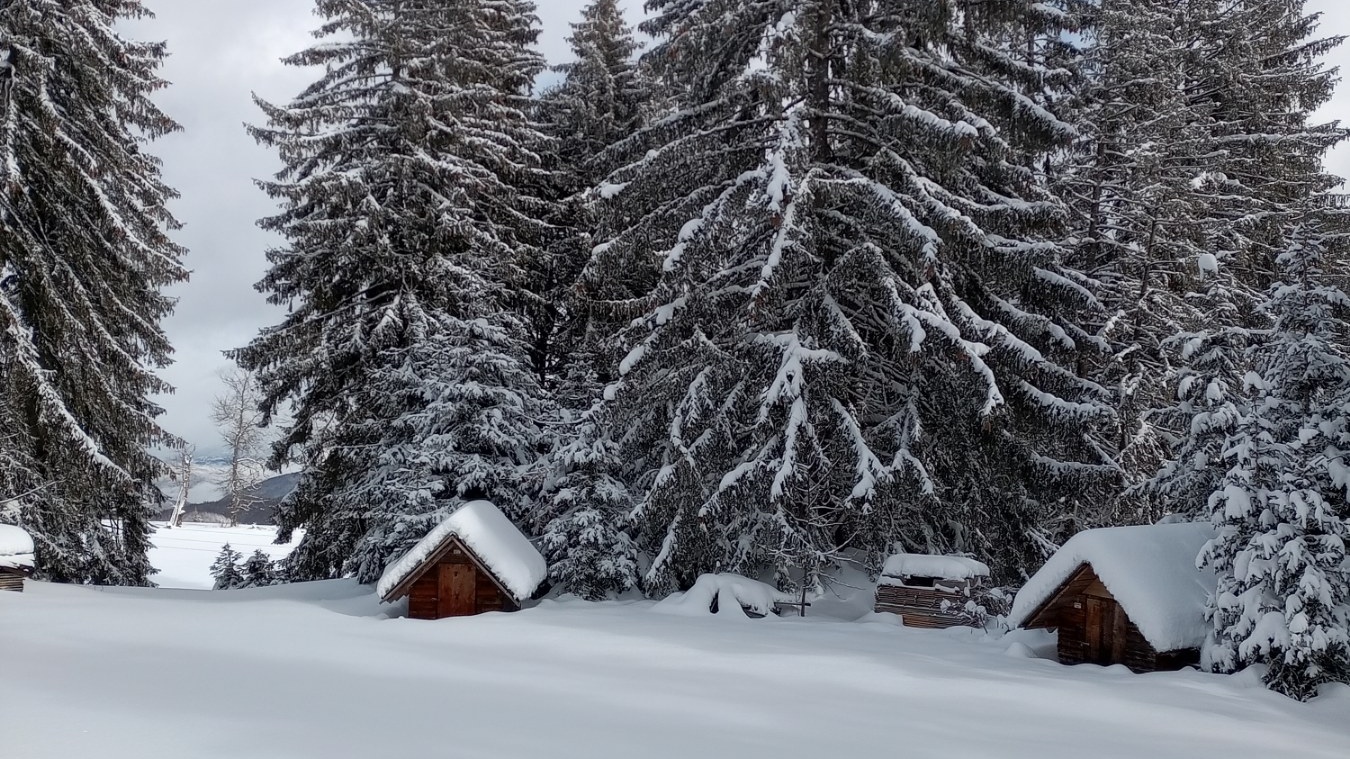Kamena Gora jedno od najlepših sela u Srbiji / Foto: Privatna arhiva