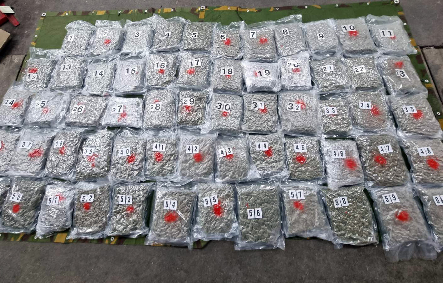 Velika zaplena kraljevačke policijie: Muškarac napravio bunker u autu pa pokušao da preveze 30 kilograma kanabisa spakovao u šezdeset paketa