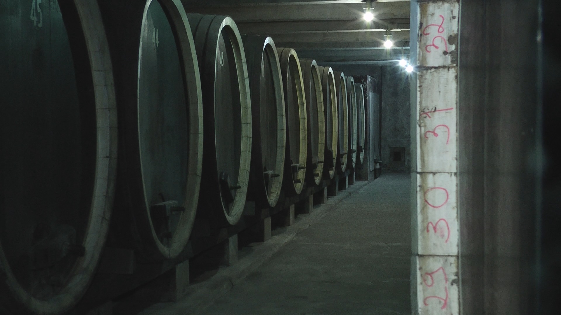 Boce koje vrede milione, ali kralj Aleksandar ostavio u amanet da nisu na prodaju: Nakon osam decenija čekanja konačno sledi rekonstrukcija Kraljeve vinarije u srpskoj Toskani (FOTO)