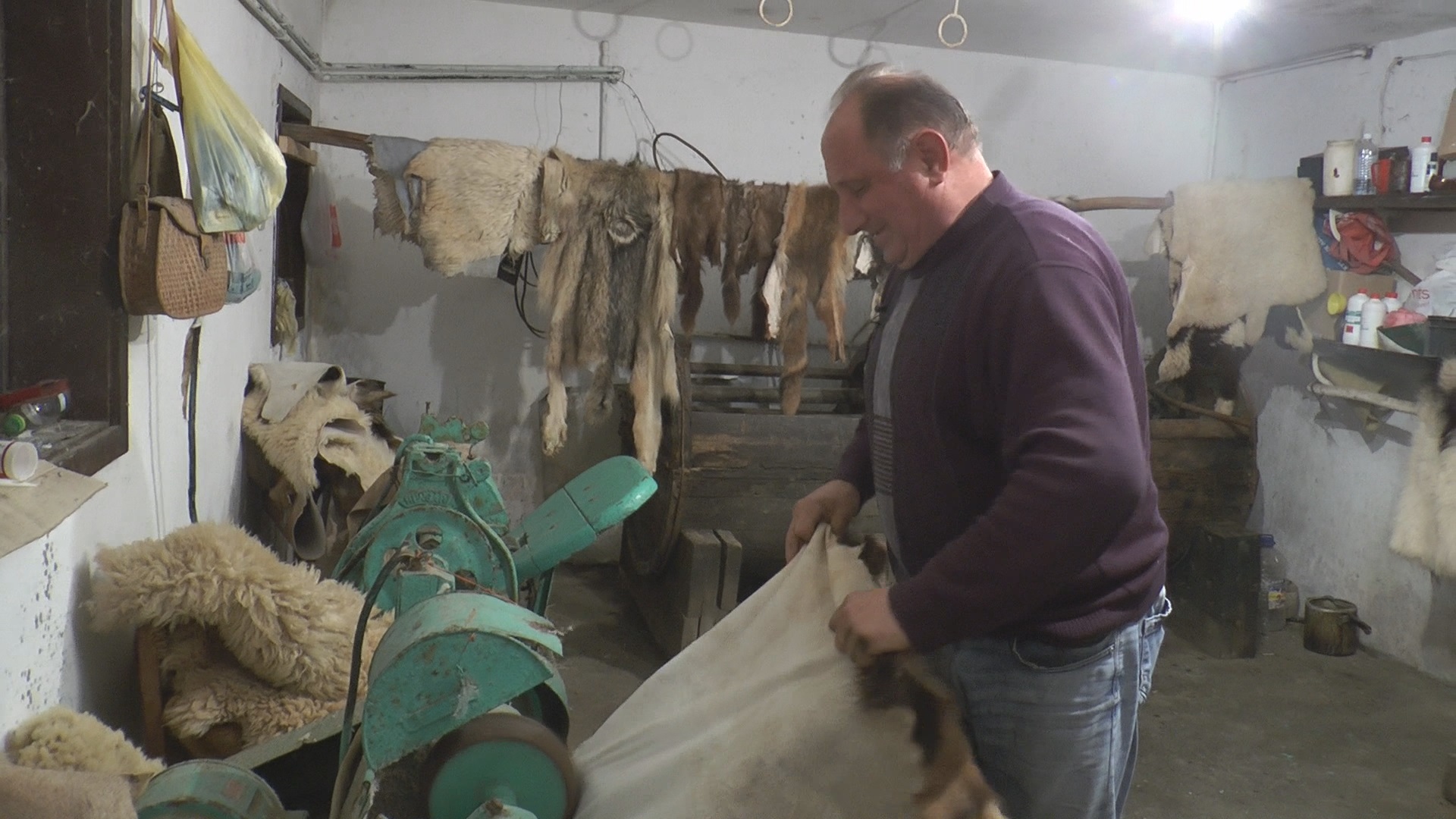 Životinje kod Kotura žive večno: Vešti majstor do sada nije preparirao samo mrava, a na njegom stolu našli su se piton i majmun/ Foto: RINA