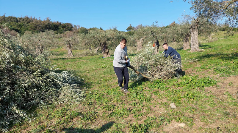 Čudotvornu vinovu lozu manastira Hilandar orezuju srpski đaci: Učenici Poljoprivredne škole iz Požege odradili stručnu praksu na Svetoj Gori, ukazana im velika čast i blagoslov (FOTO)