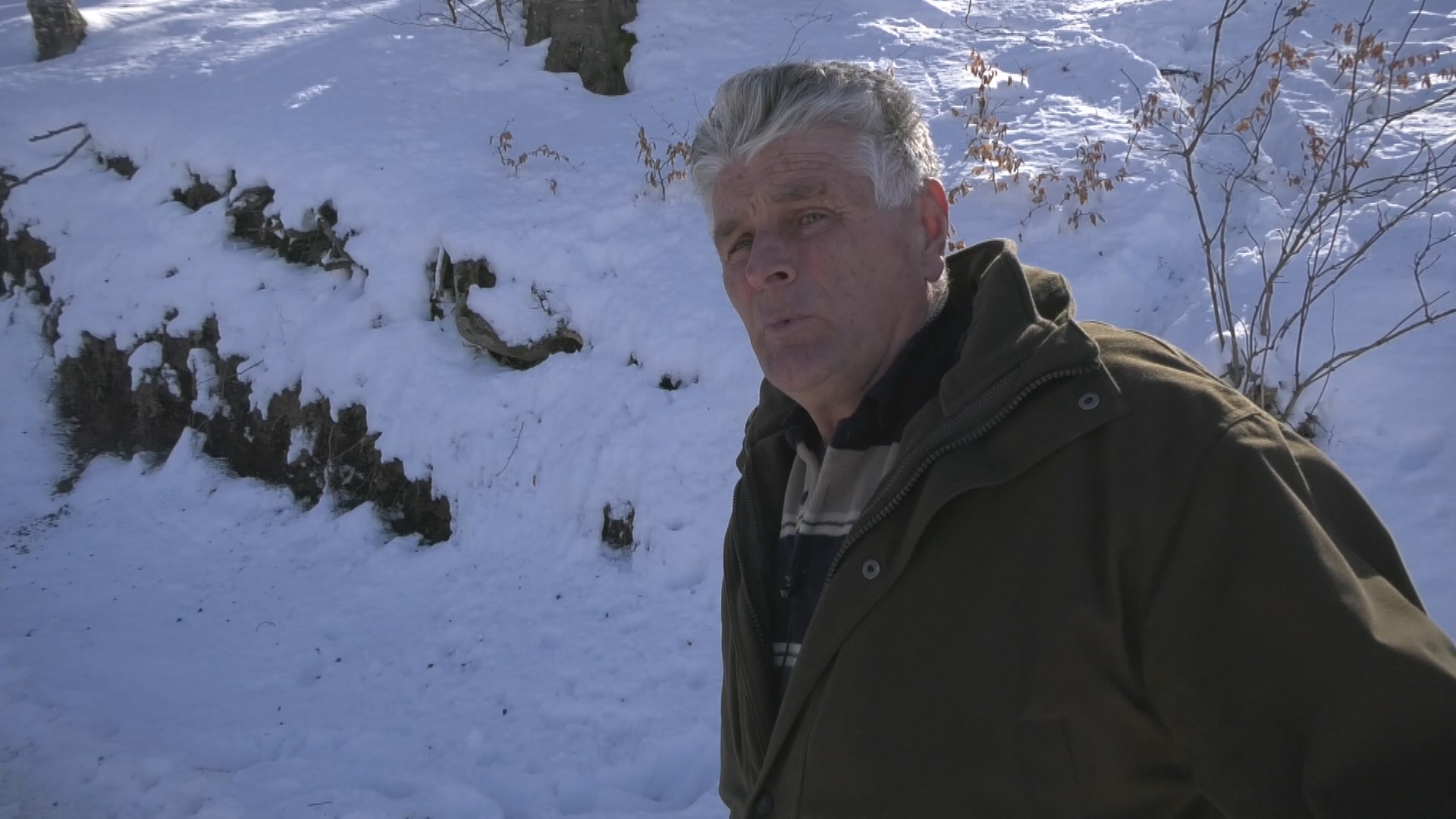 On je Bendžo, ima preko 200 kilograma i odomaćio se: Todor sa Murtenice pripitomio krdo divljih svinja, iz tora ovog planinca stiže nesvakidašnja slika (FOTO)