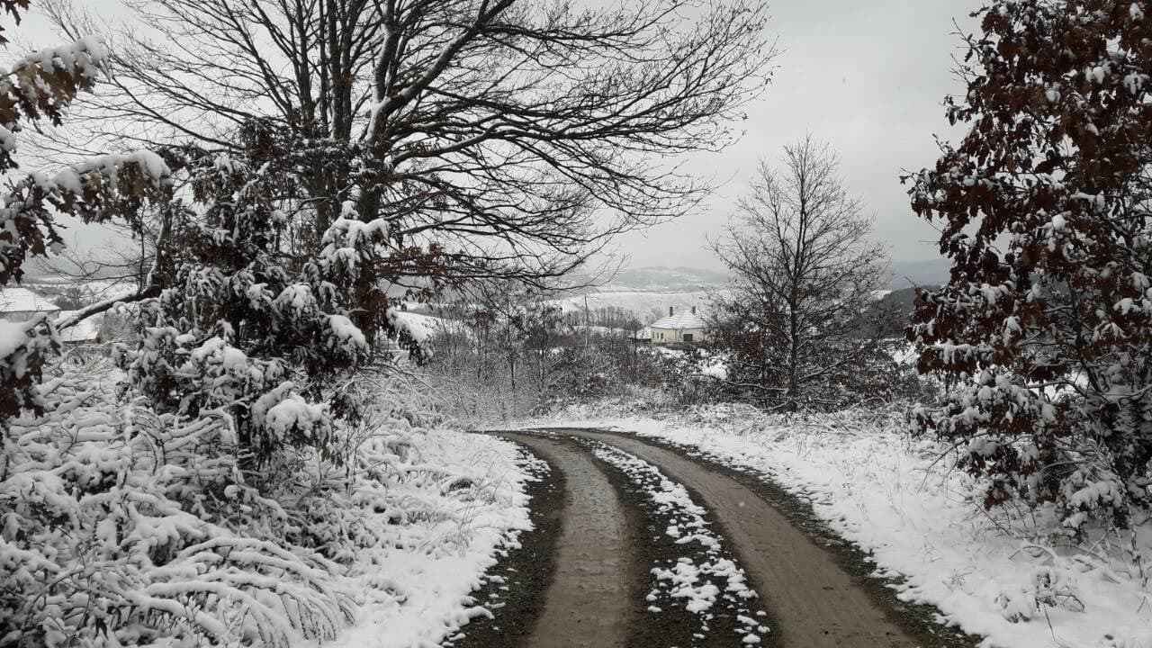Martovski sneg se ne šali, obeleli planinski vrhovi na zapadu Srbije: Putari u pripravnosti, vozačima se savetuje veliki oprez ako kreću prema ski-centrima (FOTO)