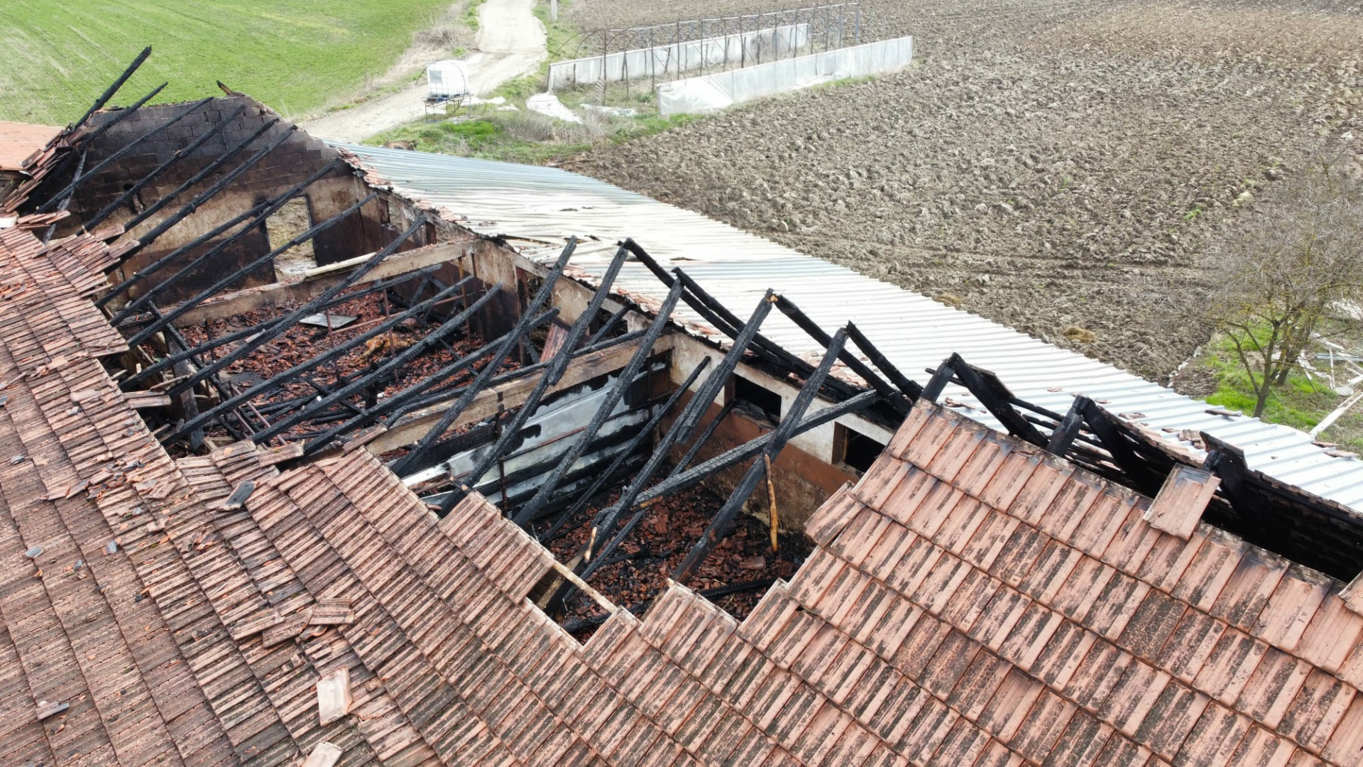 Nakon vatrene stihije na imanju Blagojevića ostalo je zgarište / foto: RINA