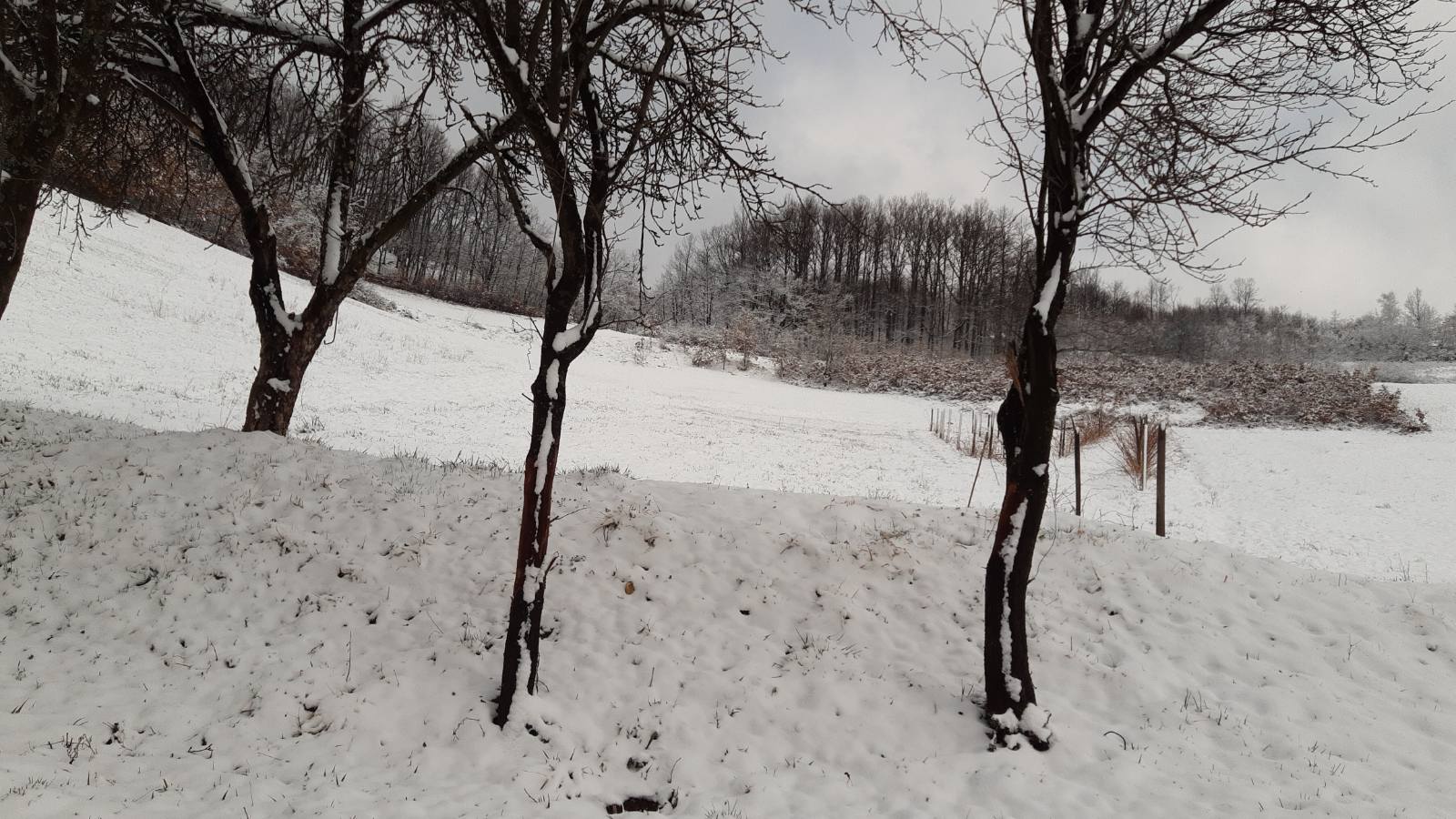 Meštane ranom zorom dočekao snežni pokrivač od deset centimetara usred marta / foto: RINA