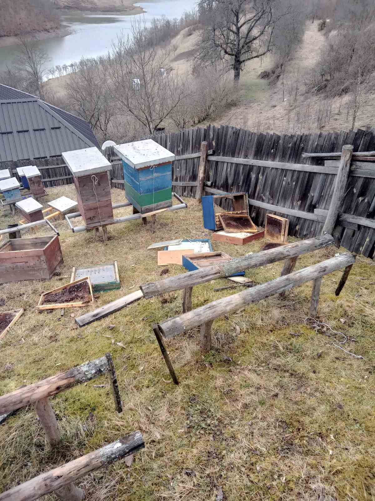 Upala mečka i razvalila četiri košnice u selu Puljci kod Nove Varoši / foto: Privatna arhiva