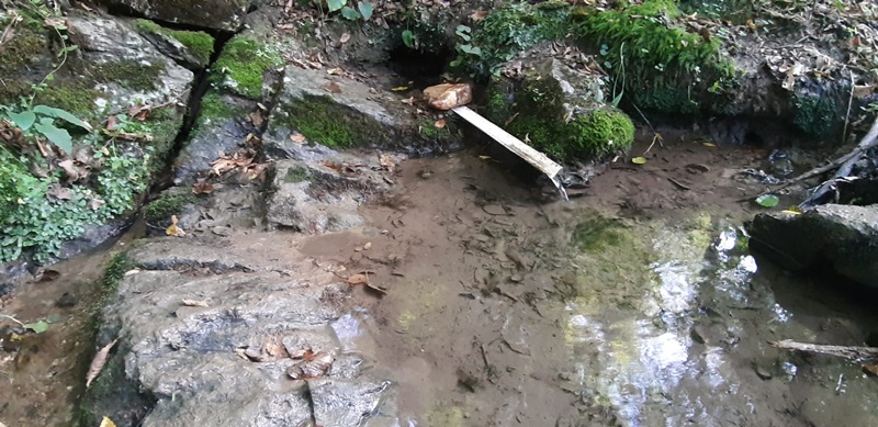 Neverovatno bogatstvo Srbije, naše planine pune lekovitih izvora: Na njima slabovidi i oboleli od tuberkuloze godinama tražili spas, sveta voda sa Ravne Gore zaceljuje rane