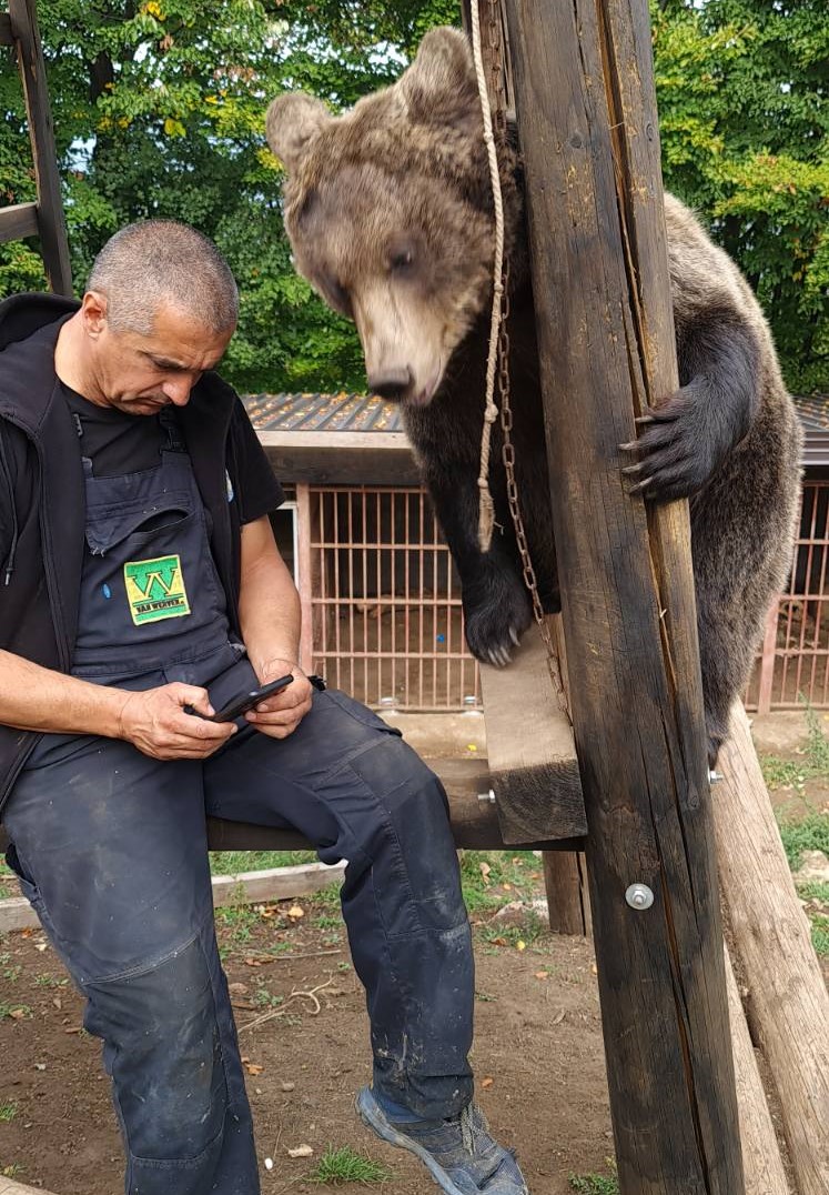 Maša i Ljubica obožavaju ljude i jednu im iz ruke, ali i prave male nestašluke/ Foto: Petar Tubić