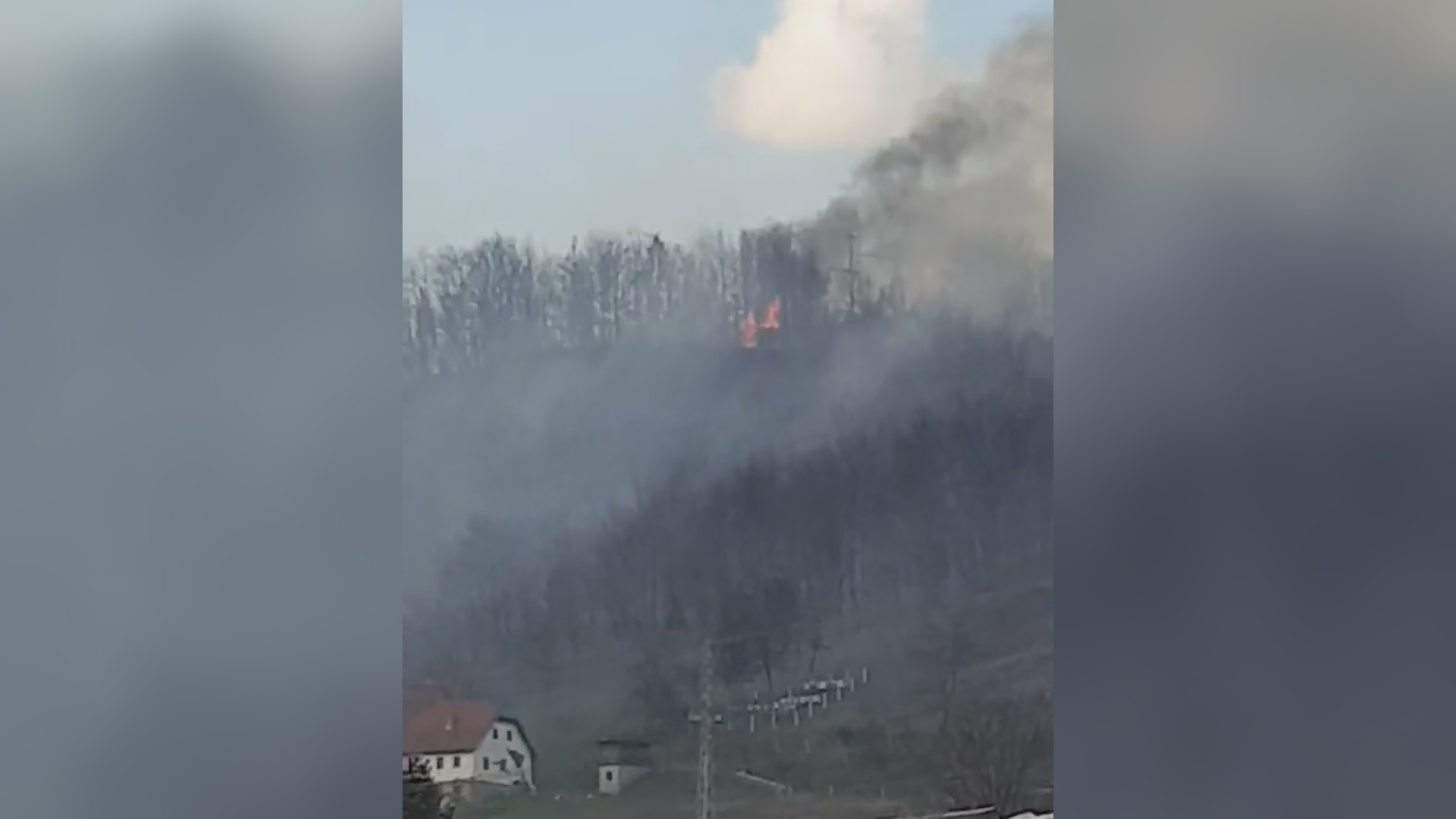 Gore hektari šume, vatrogasna vozila odmah upućena na teren: Veliki požar izbio kod Pribojske Banje, vatrena stihija preti da se približi do naseljenih kuća (FOTO)(VIDEO)