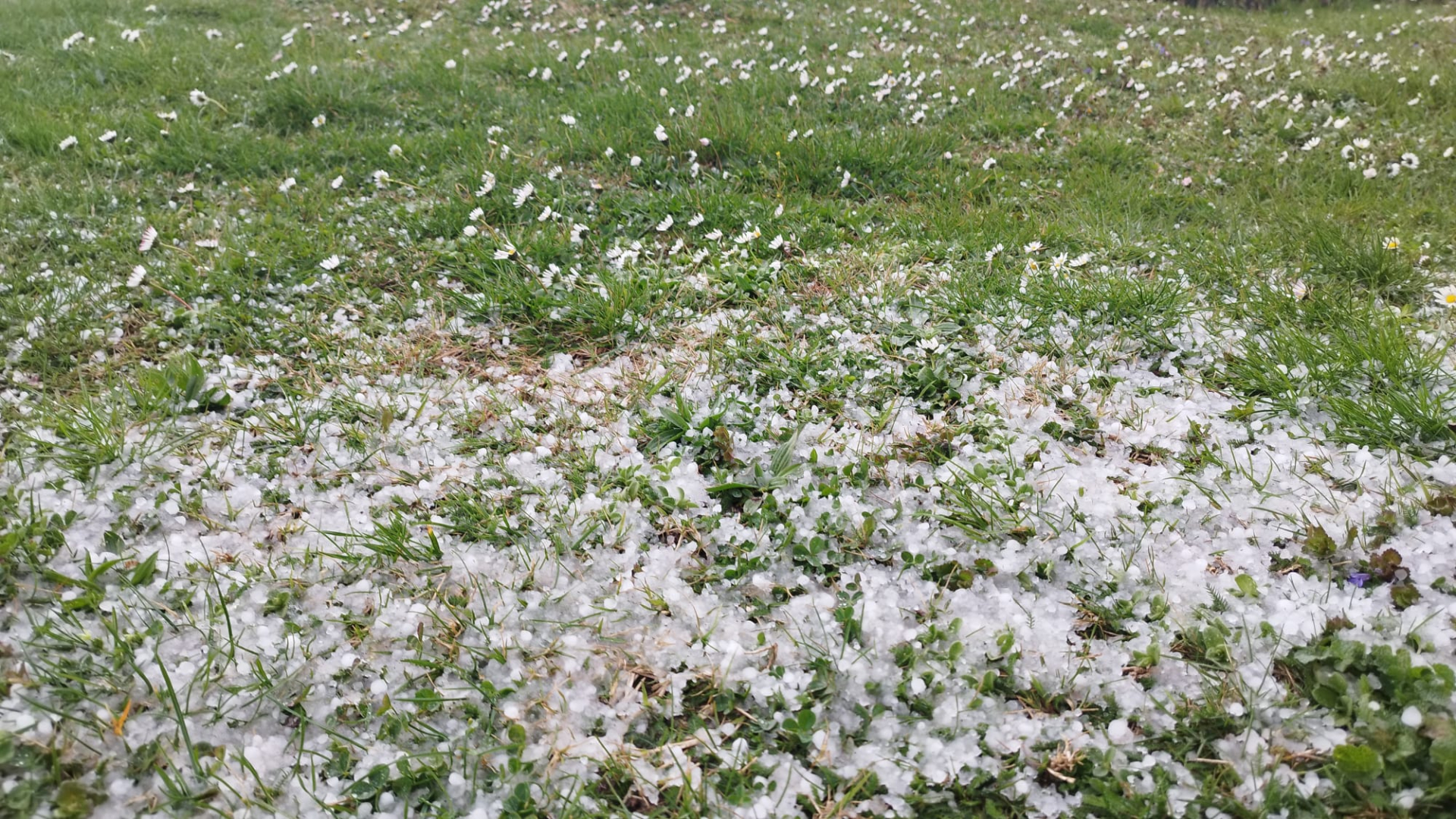 Samo se odjednom smrklo: Jako olujno nevreme praćeno gradom pogodilo sela u okolini Čačka, na gradskom području kiša usporila saobraćaj/ Foto: RINA