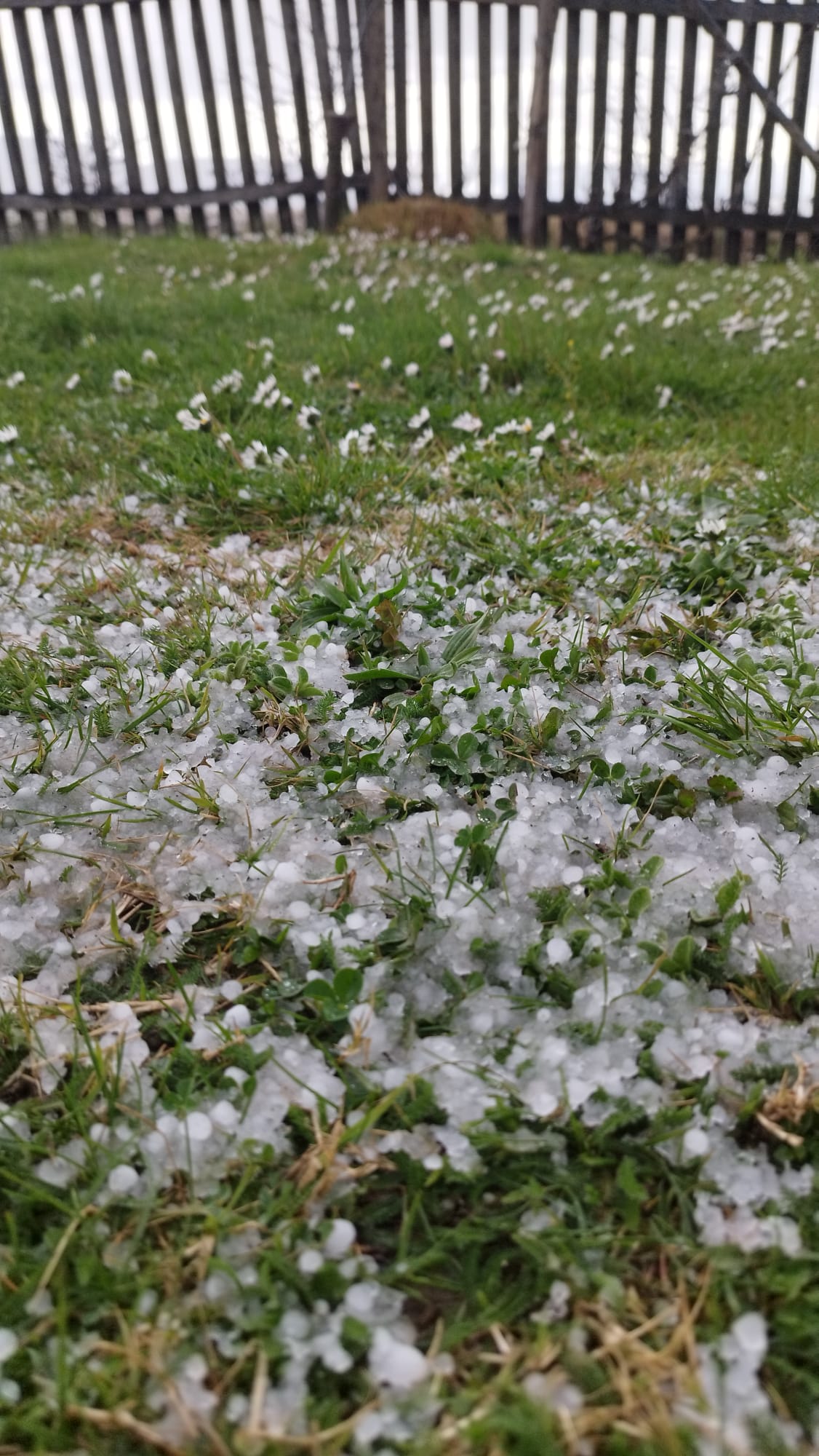 Samo se odjednom smrklo: Jako olujno nevreme praćeno gradom pogodilo sela u okolini Čačka, na gradskom području kiša usporila saobraćaj/ Foto: RINA