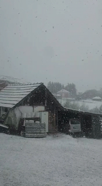 Umesto da spremamo livade za pašu, mi ćemo lopatama čistiti sneg: Obeleo srpski Sibir usred proleća, temperatuta se spuštala i do minus pet stepeni (VIDEO)