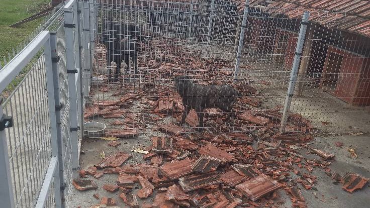 Vetar lomio crepove u selu Zagorica: Jako olujno nevreme pogodilo Topolu, na pojedinim kućama pričlnjena velika materijalna šteta/ Foto: RINA
