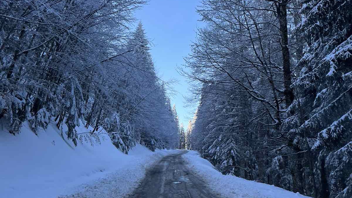 Snežna mećava preko noći ponovo okovala Goliju: Palo skoro 20 centimetara novog snega za nekoliko sati, putari sa teškom mehanizacijom već su na terenu/ Foto: RINA