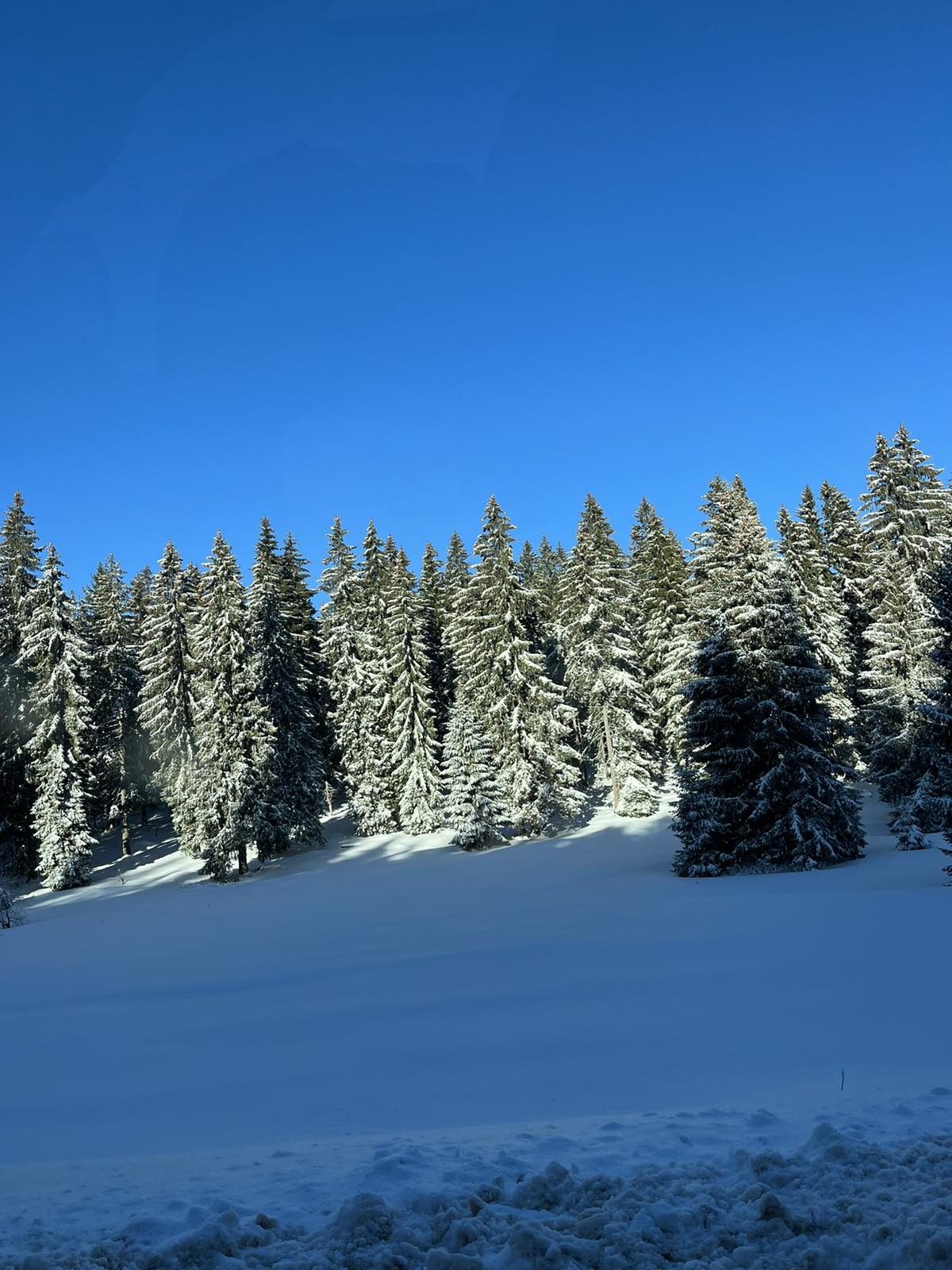 Snežna mećava preko noći ponovo okovala Goliju: Palo skoro 20 centimetara novog snega za nekoliko sati, putari sa teškom mehanizacijom već su na terenu/ Foto: RINA