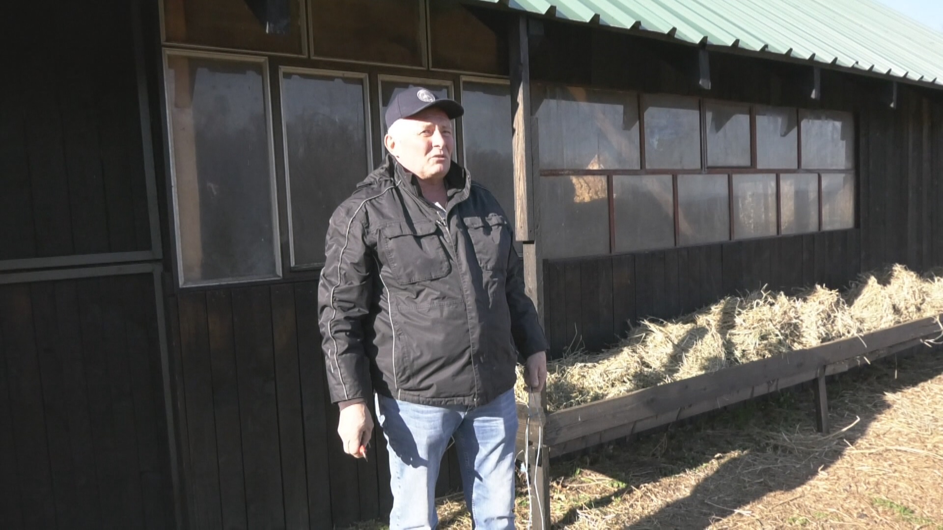 Njihov galop je nestvaran, a svaki košta kao suvo zlato: Dušan iz sela Brzan ima jedinstvenu farmu na Balkanu, na 10 hektara zemlje gaji jelene, srne i među njima jedan izuzetno redak primerak (FOTO)