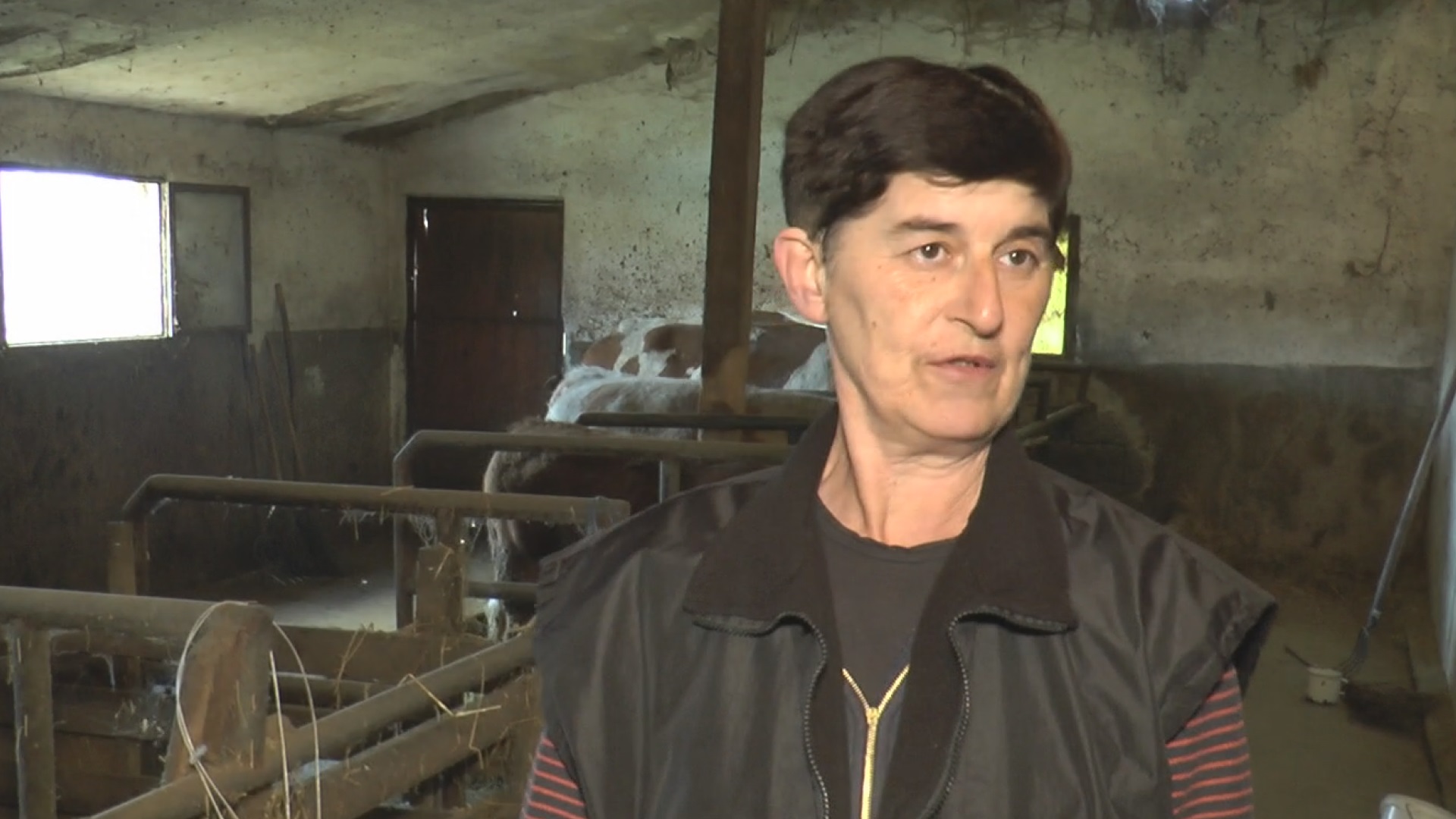 Svi prasići što imamo u oborima idu "kao alva", niko i ne pita za cenu samo da ih ima: Miladin iz Pranjana uzgaja svinje godinama, a sada je konačno dočekao svojih pet minuta/ Foto: RINA