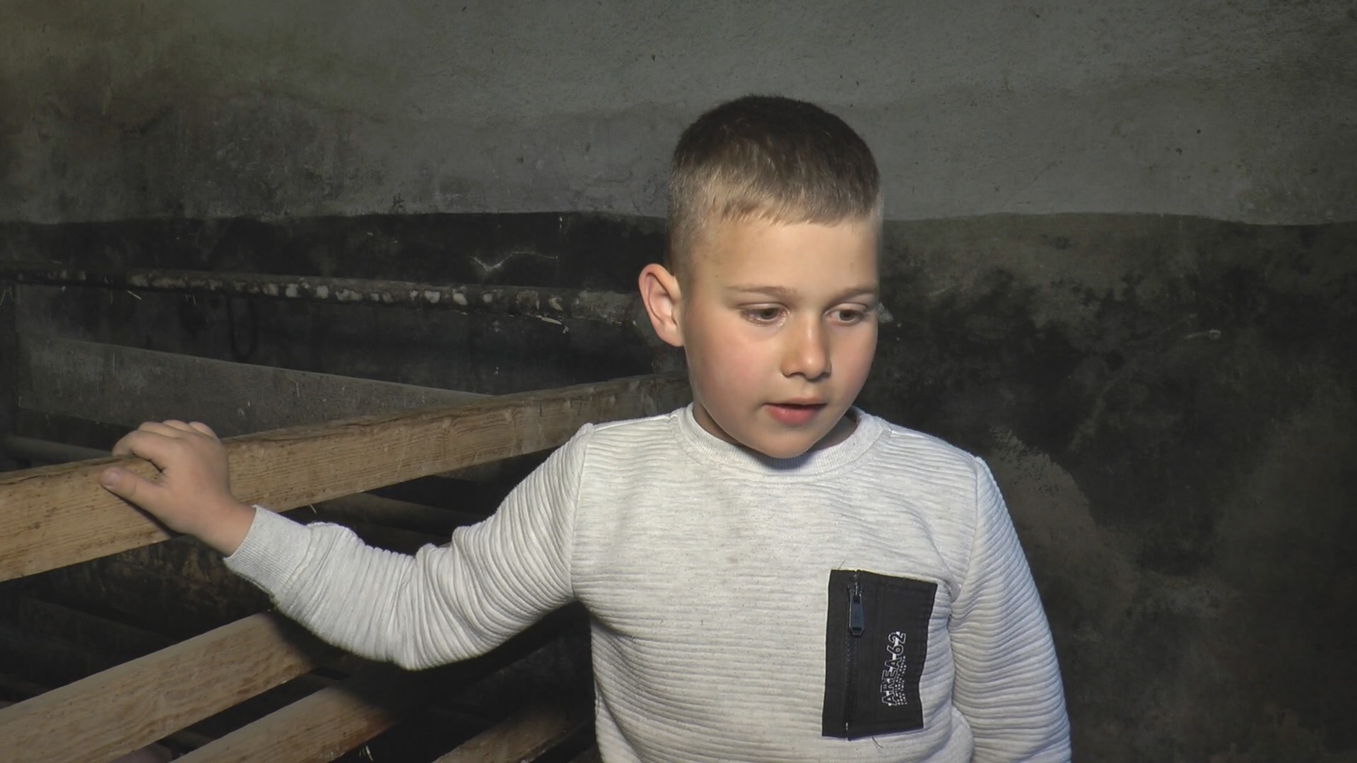 Svi prasići što imamo u oborima idu "kao alva", niko i ne pita za cenu samo da ih ima: Miladin iz Pranjana uzgaja svinje godinama, a sada je konačno dočekao svojih pet minuta/ Foto: RINA
