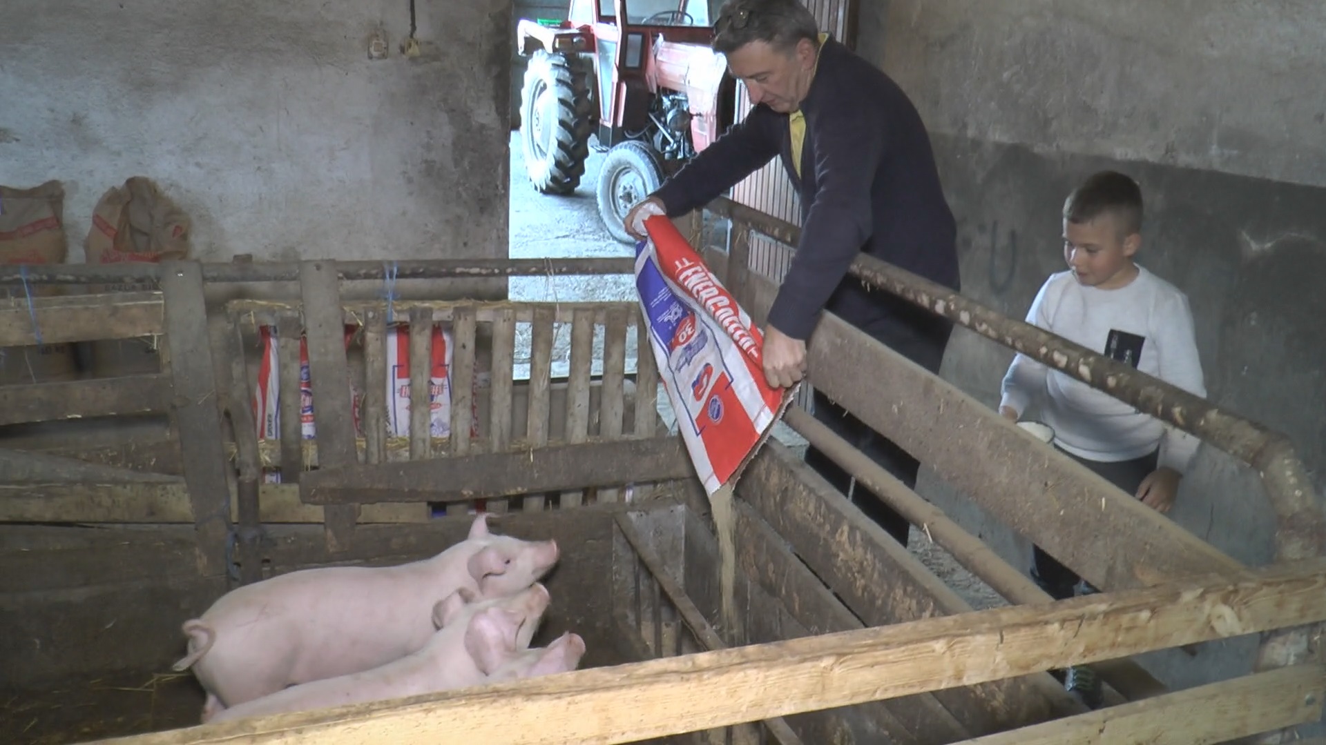 Svi prasići što imamo u oborima idu "kao alva", niko i ne pita za cenu samo da ih ima: Miladin iz Pranjana uzgaja svinje godinama, a sada je konačno dočekao svojih pet minuta/ Foto: RINA
