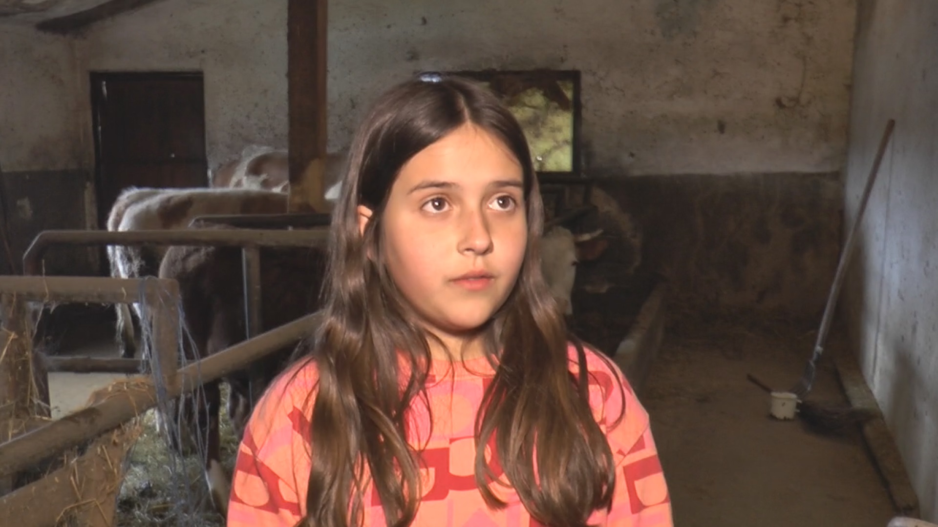 Svi prasići što imamo u oborima idu "kao alva", niko i ne pita za cenu samo da ih ima: Miladin iz Pranjana uzgaja svinje godinama, a sada je konačno dočekao svojih pet minuta/ Foto: RINA
