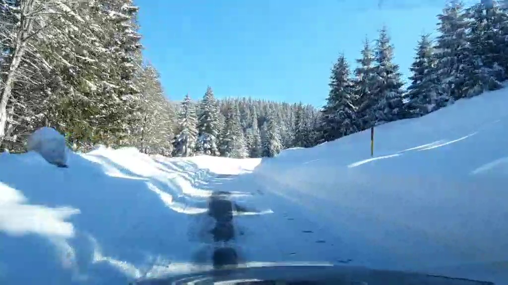 Snežna bajka na Goliji usred proleća / foto: RINA