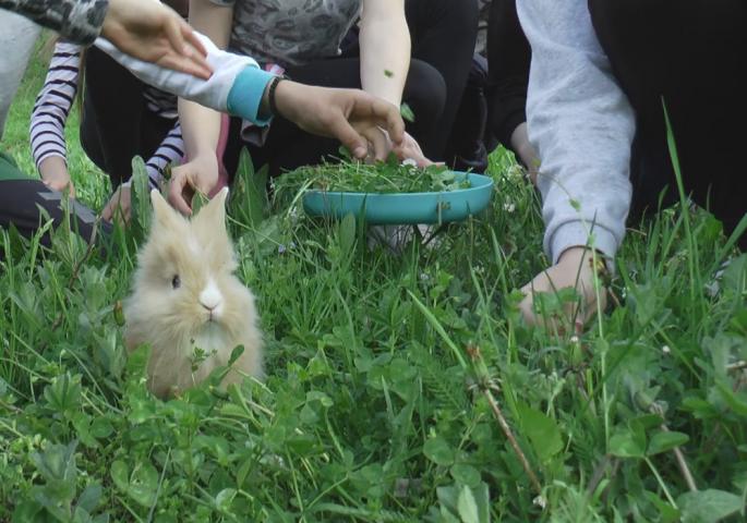 Traže detelinu sa četiri lista, a tako ukrašeno jaje biće njihova amajlija čitave godine: Mališani iz sela Ježevica na najlepši način čuvaju srpsku tradiciju i stare običaje (FOTO)