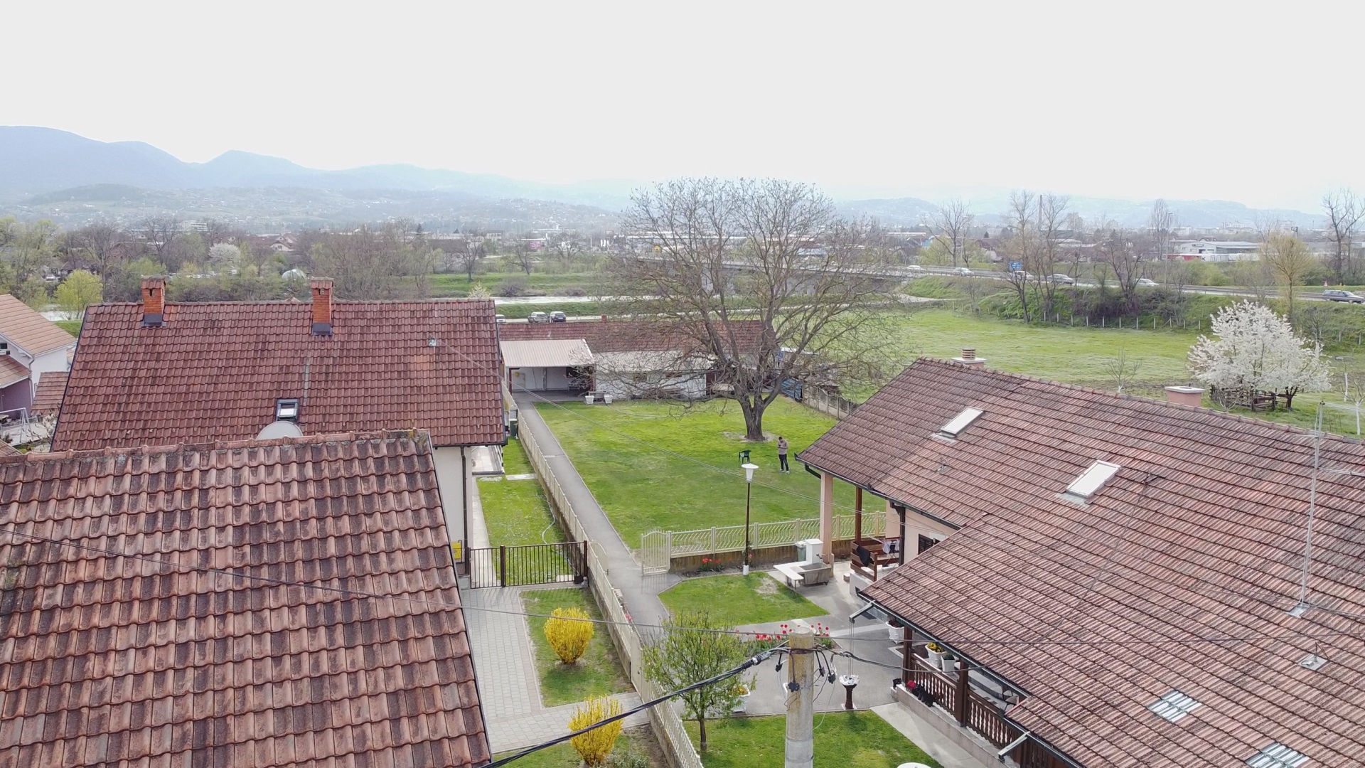 Najveći orah na Balkanu raste u Ljubić polju / foto: RINA