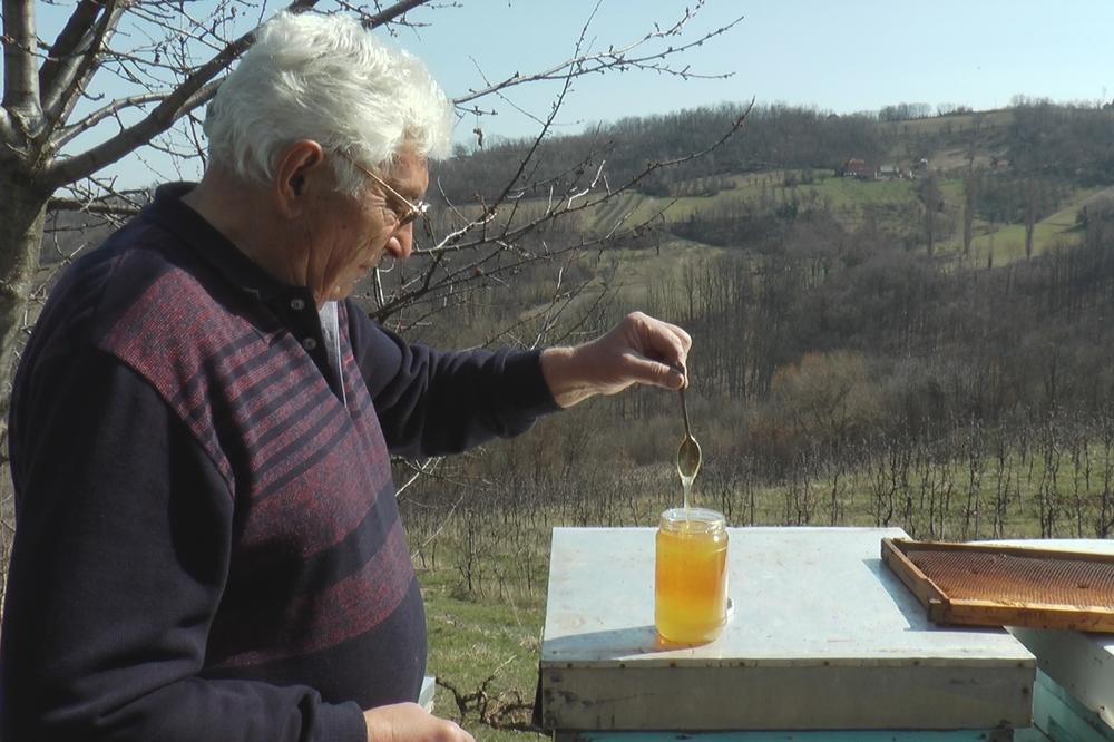Ogromne količine lažnog meda na srpskom tržištu / foto: RINA