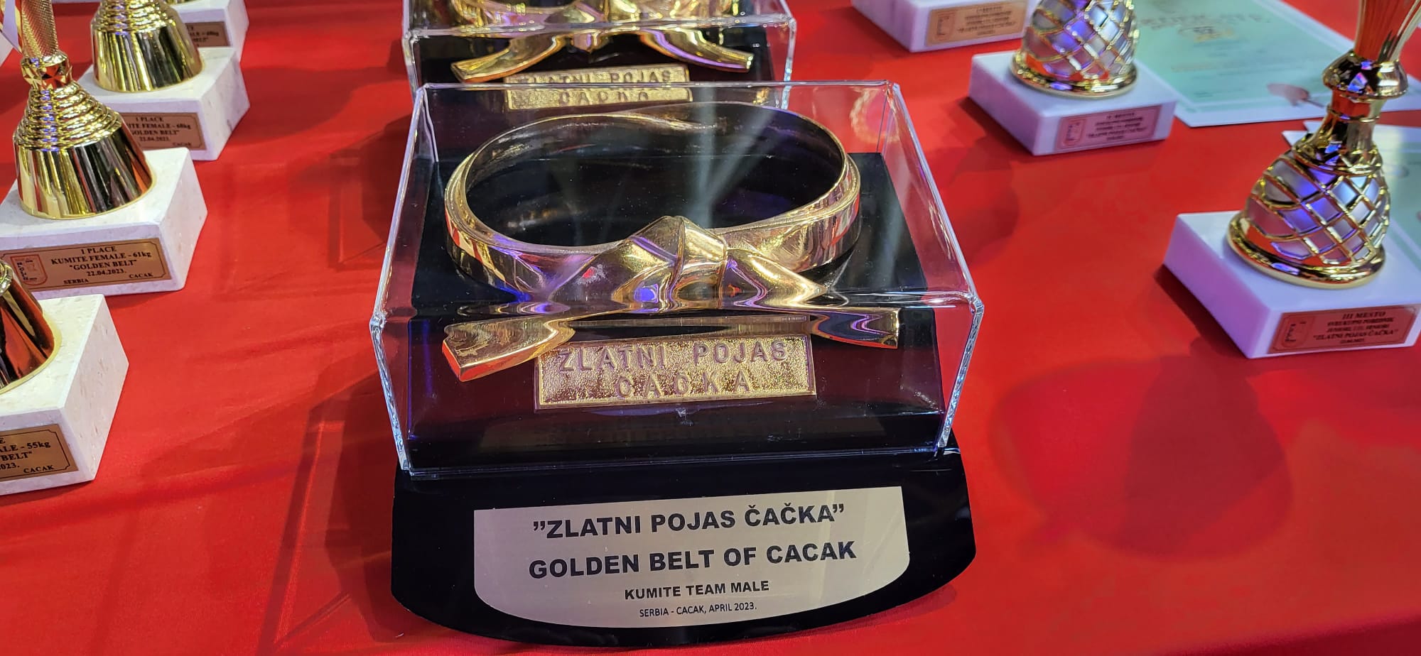 Vrhunski sportski spektakl u gradu na Moravi, karatisti sa svih strana sveta stigli Čačak: Trofej uprskos jakoj konkurenciji ostao u Srbiji/ Foto: RINA