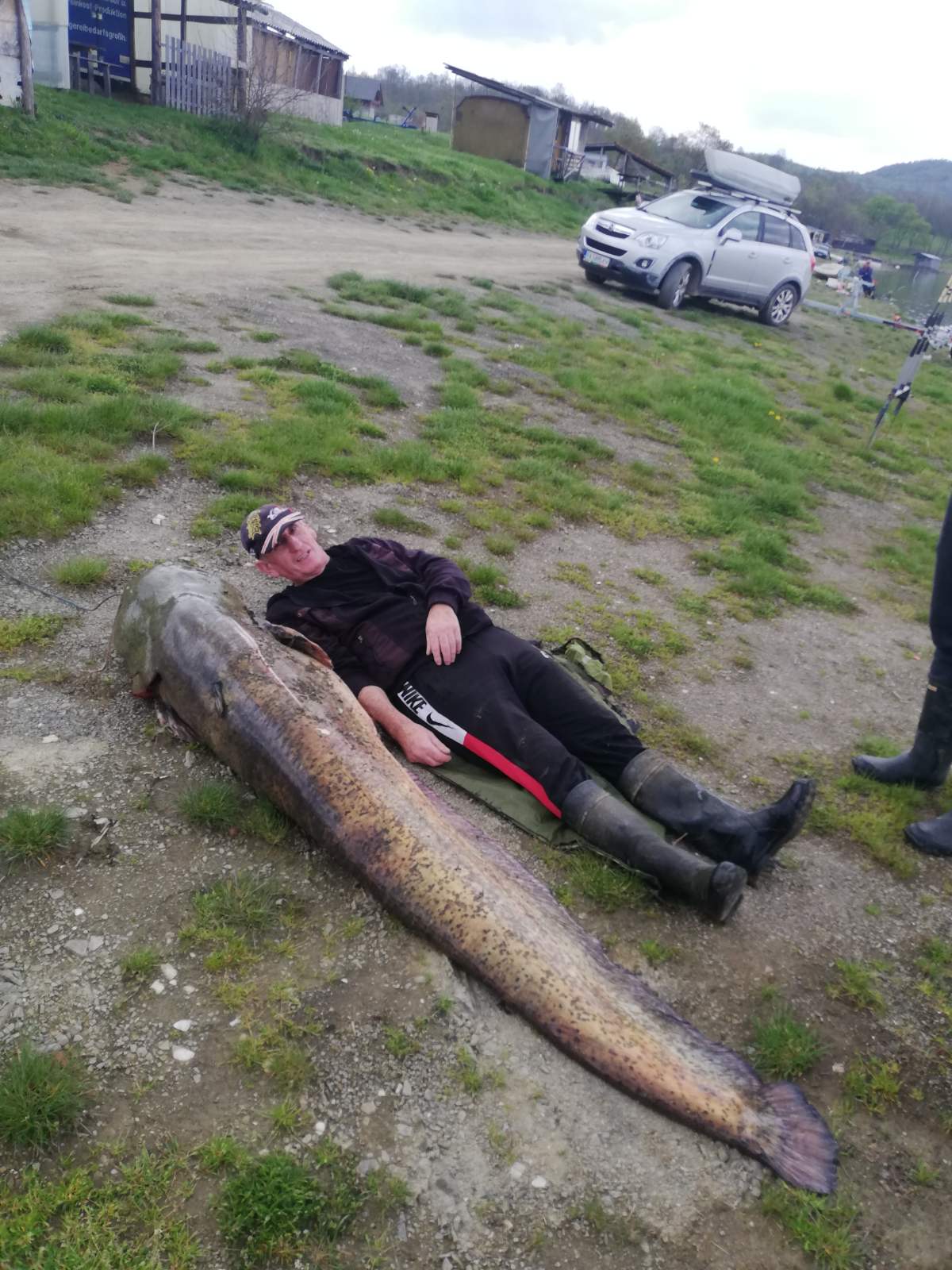 Vodena grdosija duga preko dva metra i teška 90 kilograma: Ulovljen neverovatan som kapitalac na Gružanskom jezeru, ribolovci se sat vremena mučili da ga izvuku na čamac (FOTO)(VIDEO)