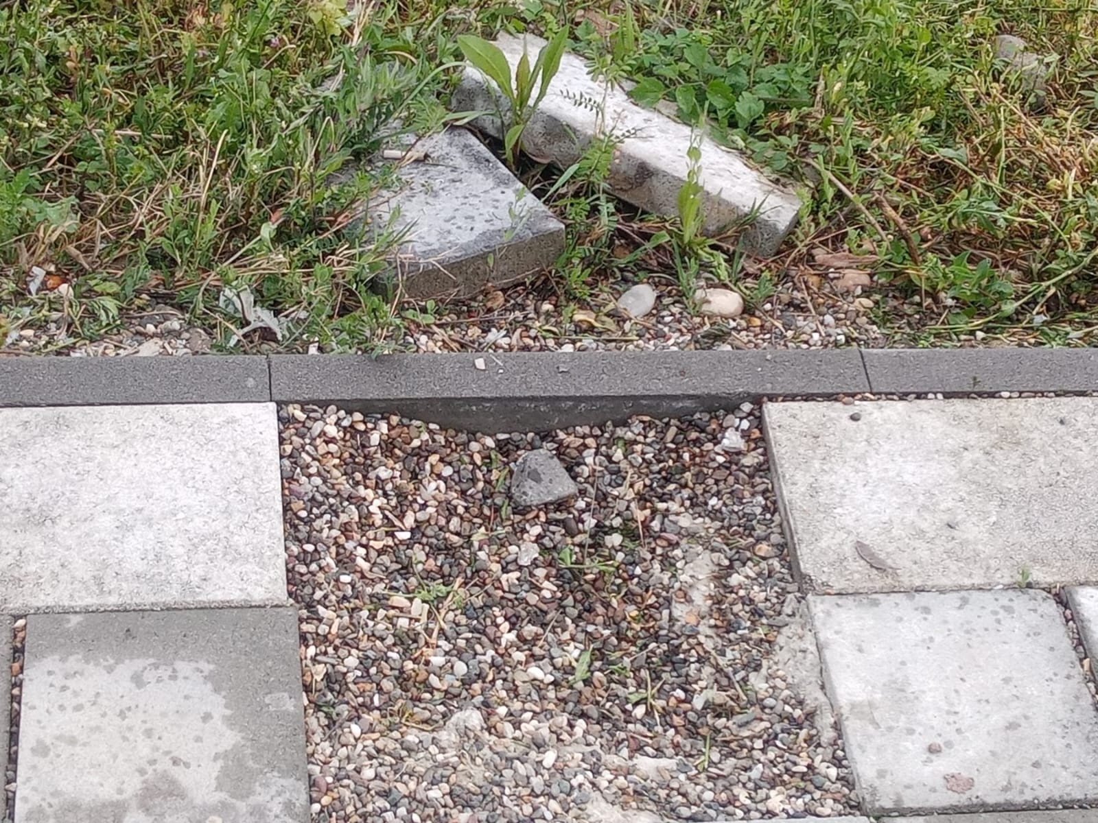 Sramotan vandalizam u čačanskom naselju Ljubić / foto: RINA