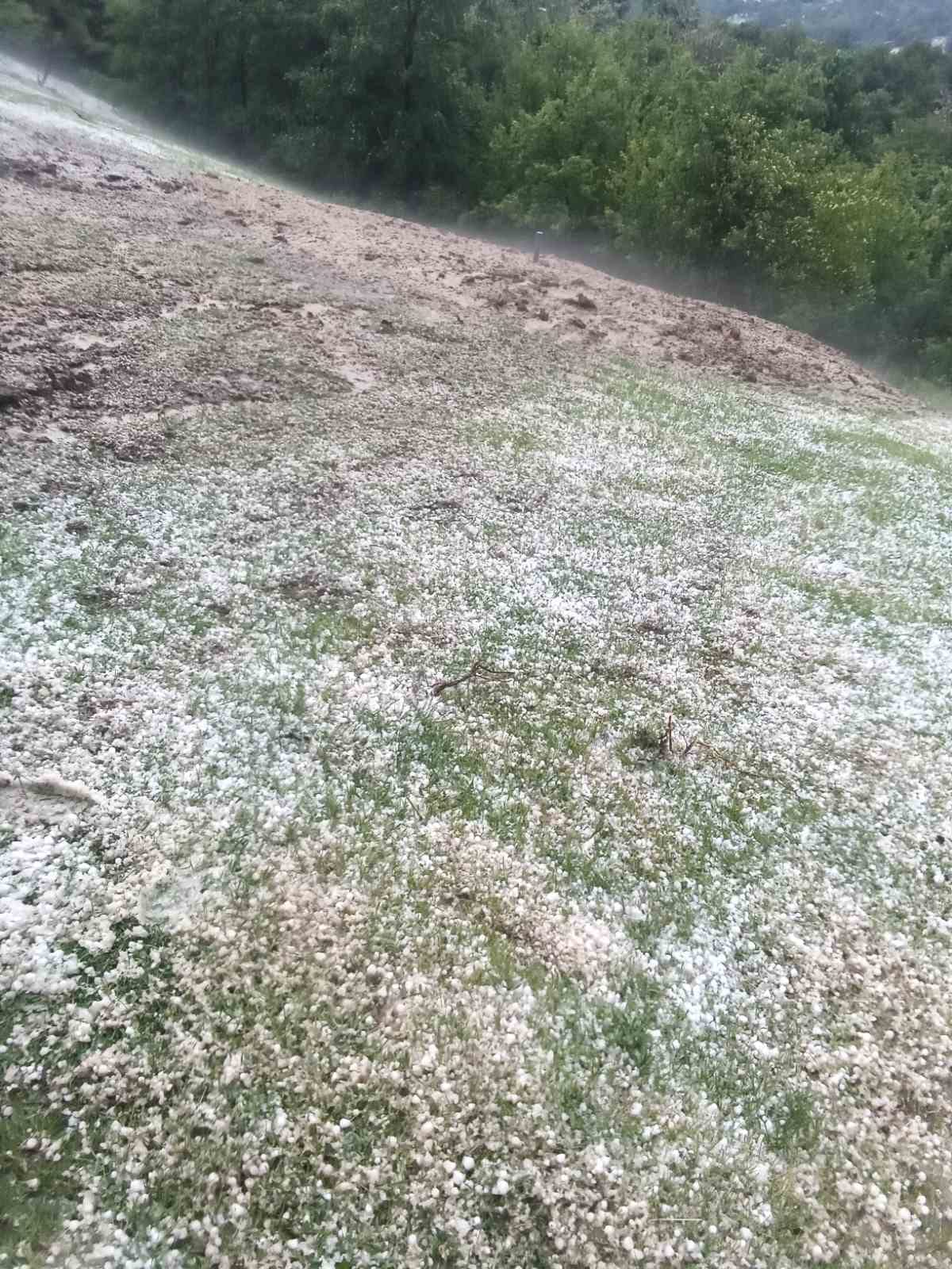 Grad zasuo većinu sela u Zapadnoj Srbiji / foto: RINA
