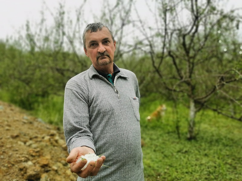 Imanje Preraga Đorđevića puno ledenih loptica / foto: RINA