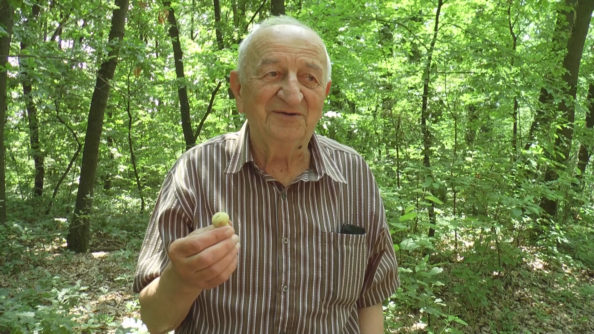 Deda Savo iz Čačka 20 puta godišnje jede samo gljive, na energiji bi mu pozavideli i duplo mlađi/ Foto: RINA