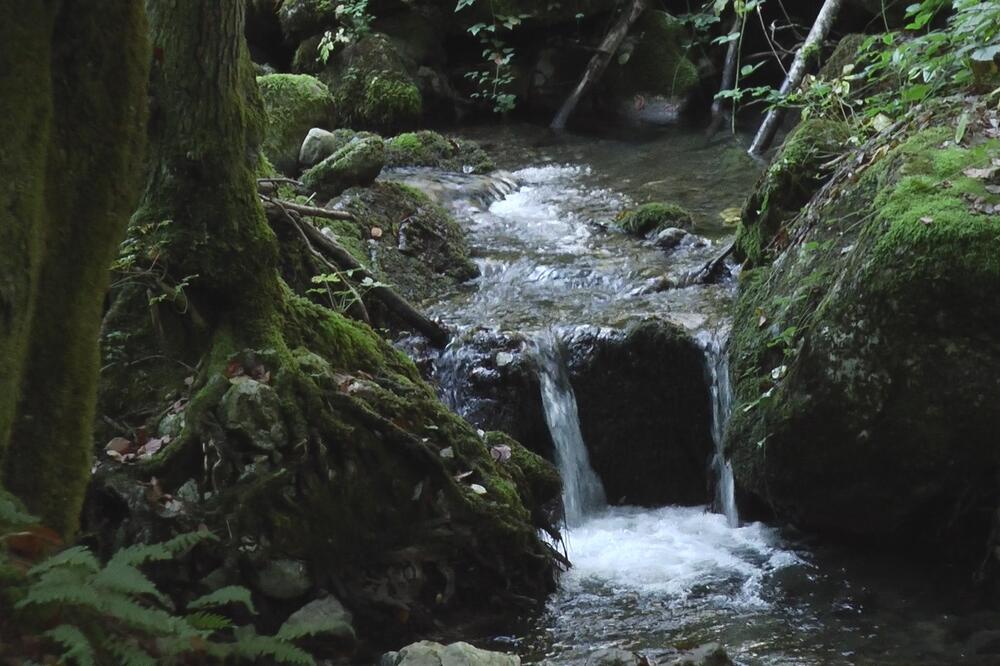 Izvor lekovite vode Bele vode u Mokroj Gori / foto: RINA
