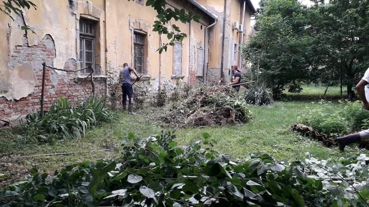 Tarifu nemaju, sve se dogovaraju a ljudima koji baš teško žive ne naplaćuju: Čačani napravili ekipu Tigrovi i rade teške poslove koje drugi odbijaju, njihov telefon se zato usijao od poziva (FOTO)