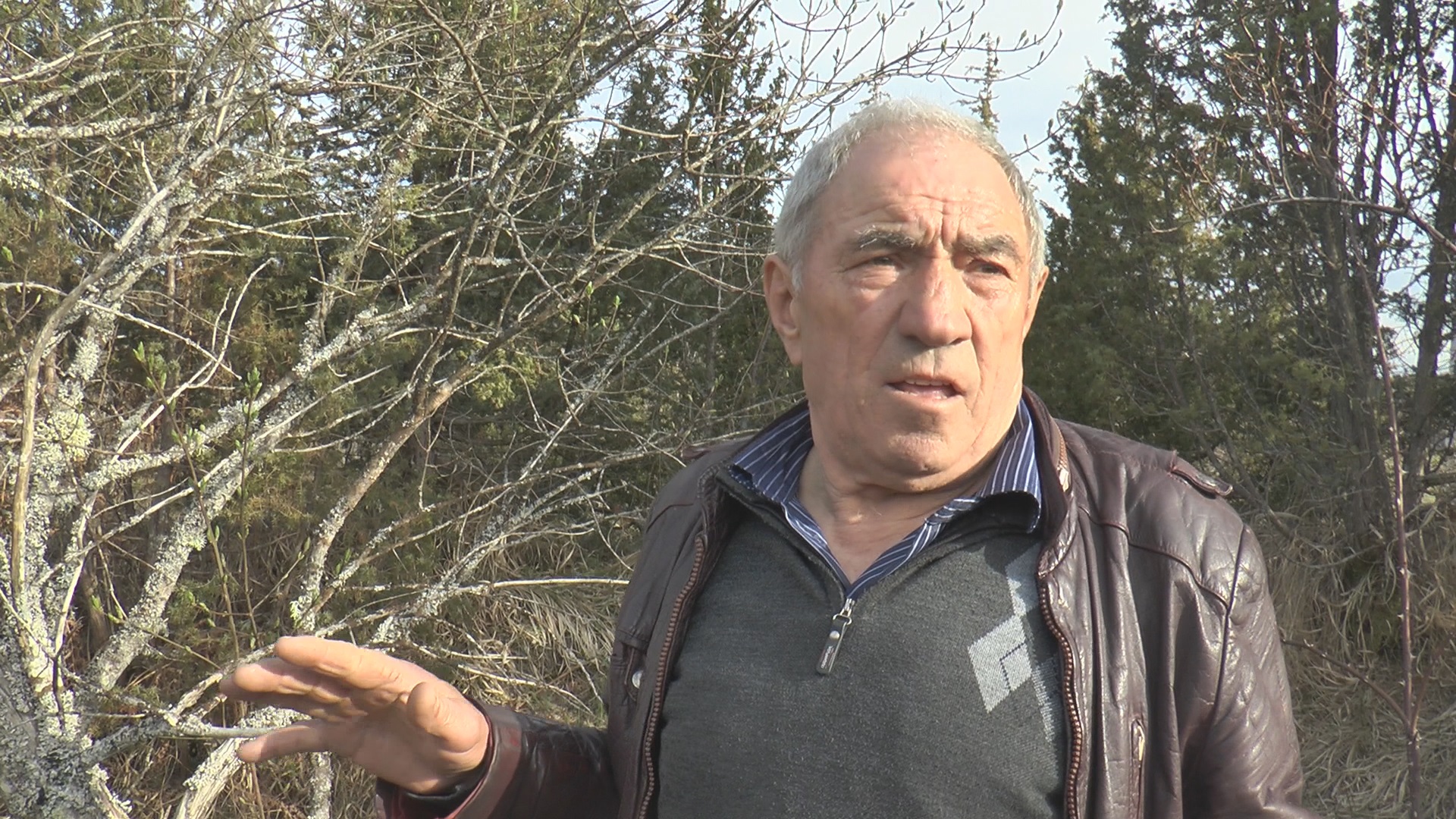 Ne može ti biti dobro, ako krave pasu travu na mestu gde je bila svetinja: Rogovićima umrlo nekoliko sinova a onda je domaćin ogradio tu livadu i rodio se Marjan, neverovatna priča sa padina Zlatara (FOTO)