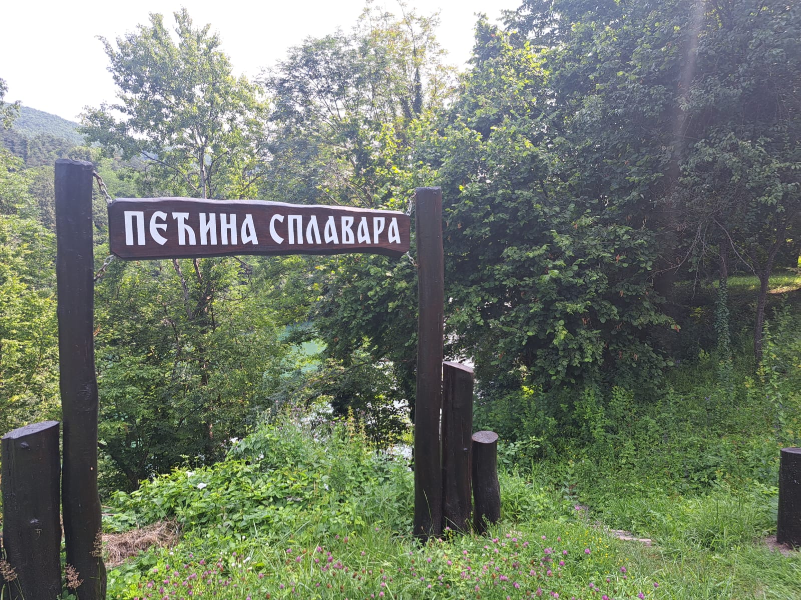 Neverovatna zelena oaza koja čuva tajne starih meštana / foto: RINA